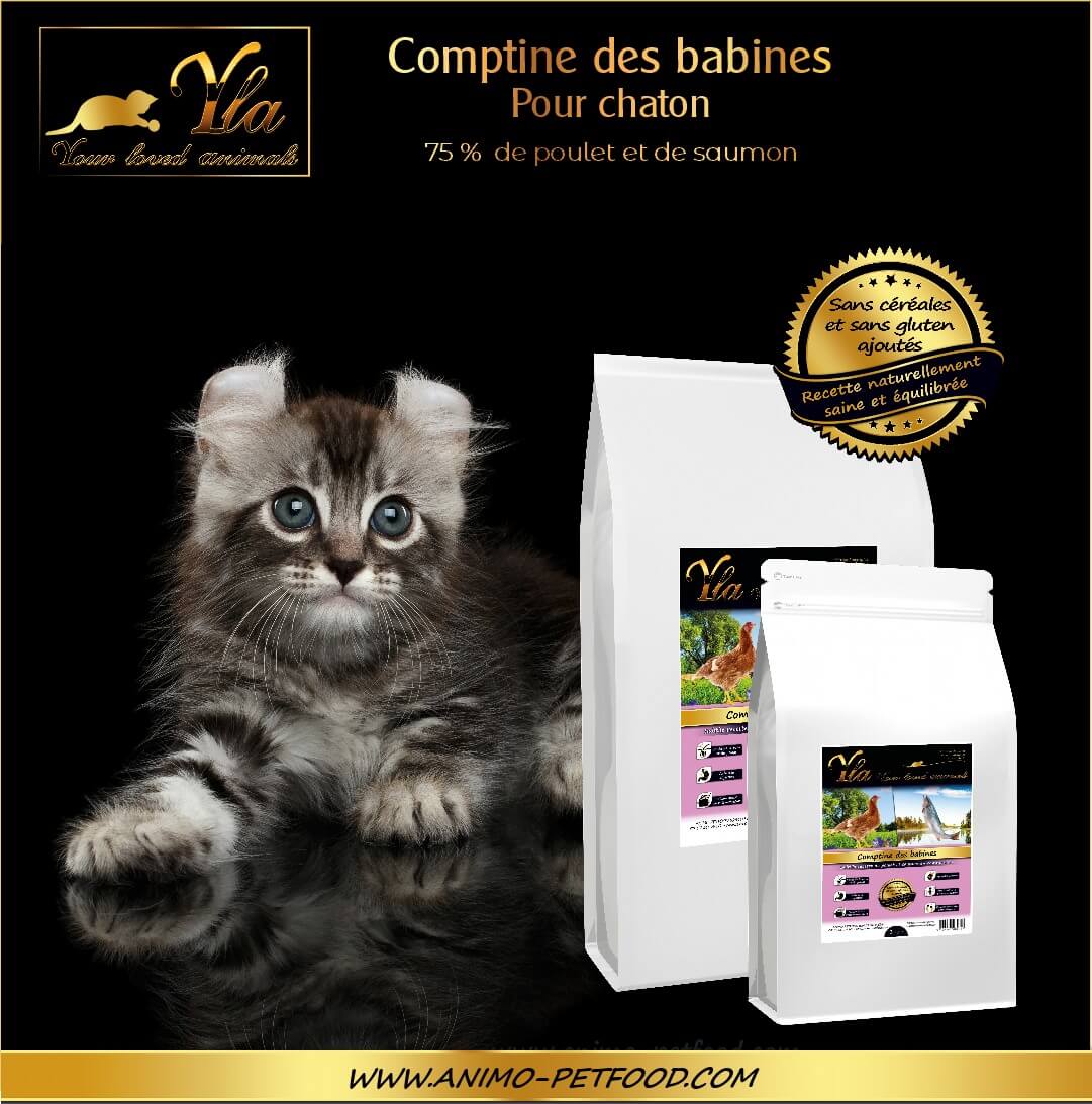 nourriture-sans-cereale-hypoallergeniques-chaton